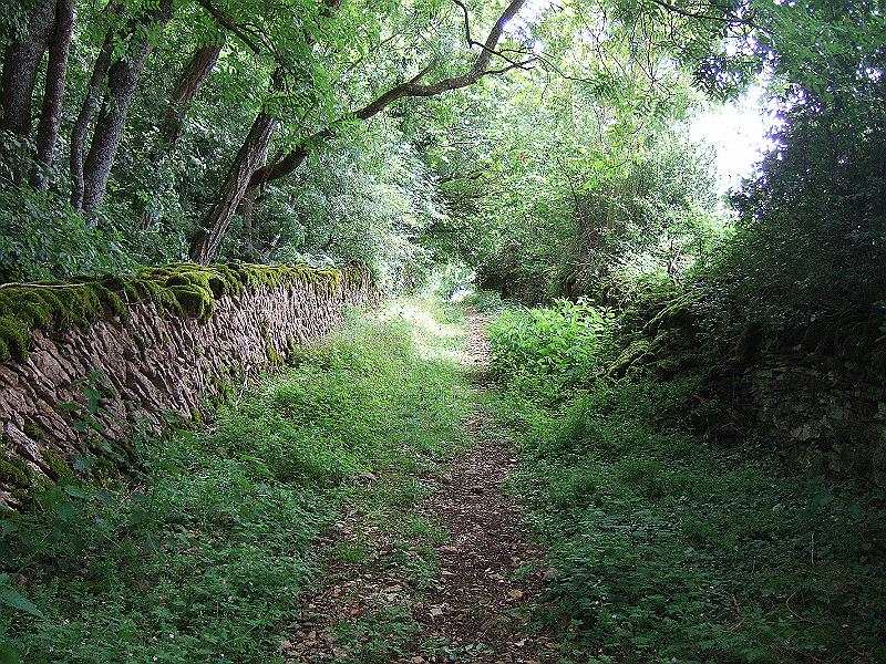 2010-05- (96).JPG
